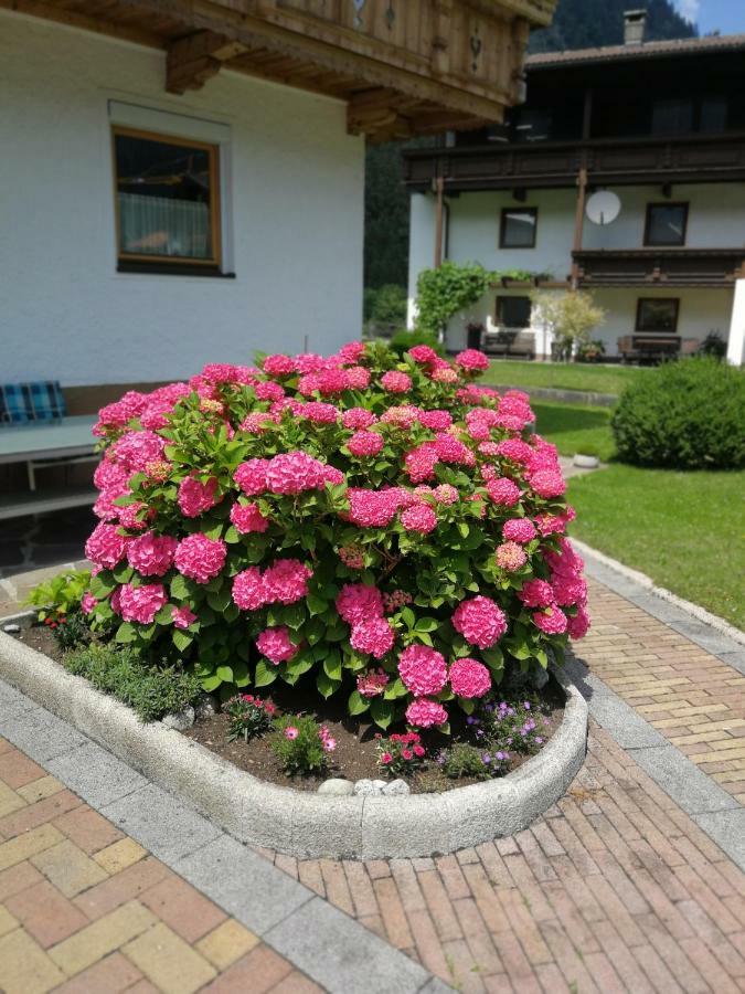 Hotel Haus Wildauer à Mayrhofen Extérieur photo